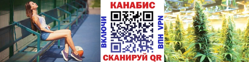 Купить закладку Новоржев Бошки Шишки  Кокаин  СК  ГАШ 