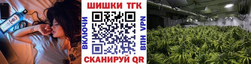 сколько стоит Новоржев Канабис SATIVA & INDICA